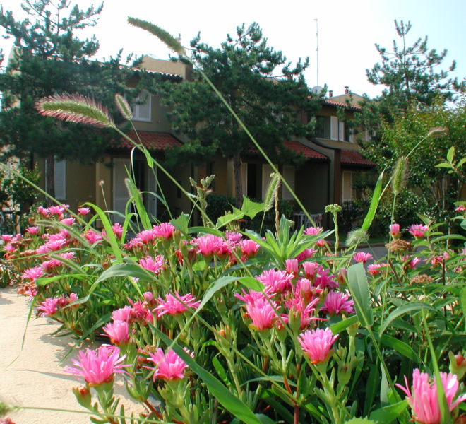 Vista Residence